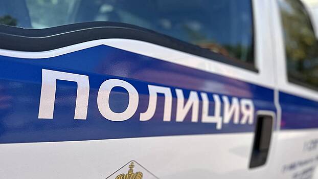 Сигнал «Сирена» для правоохранителей ввели в городском округе Чехов