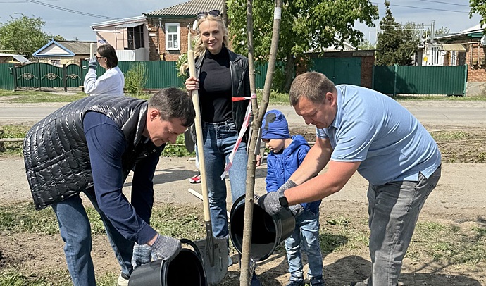 В Константиновске появилась кленовая аллея