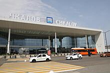 Более 57 килограммов фруктов и овощей из Азербайджана и Таджикистана изъяли в нижегородском аэропорту