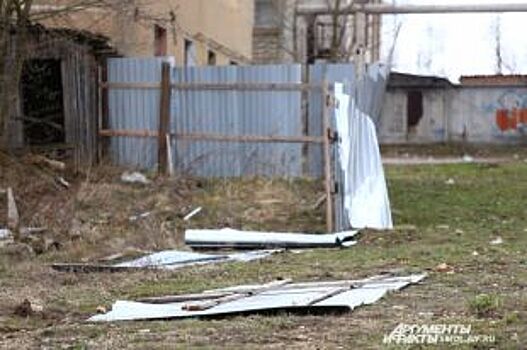 Власти Барнаула заявили, что сильный ветер не принес больших разрушений