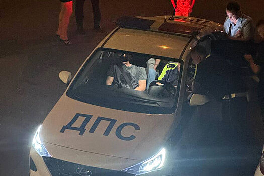 Задержан водитель, сбивший пешеходов в Москве