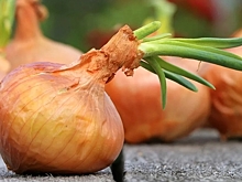 К чему снится лук во сне