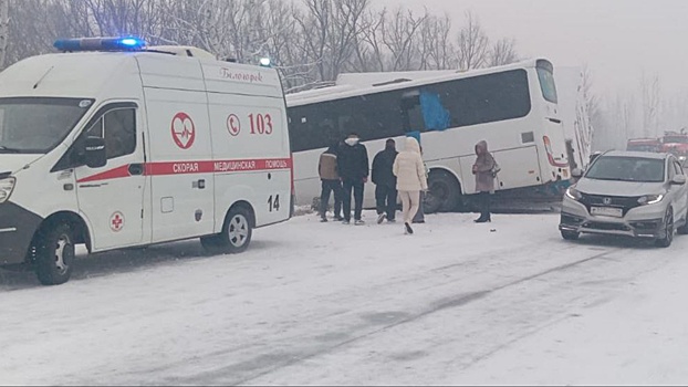В Приамурье десять человек пострадали в ДТП с автобусом и грузовиком