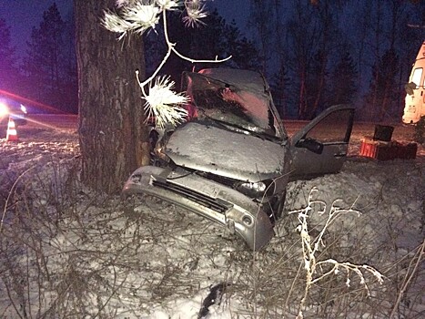 На трассе в Саратовской области автомобиль протаранил дерево. Двое пострадали