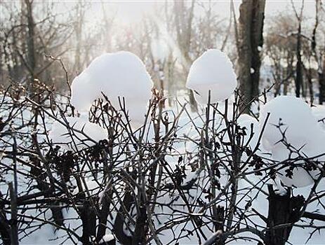 К воскресенью в Самарской области потеплеет до - 5°C