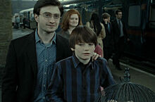 Warner Bros. планирует снять фильм о приключениях сына Гарри Поттера