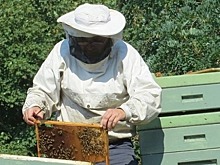 Подмосковным пчеловодам выдали гранты на 8,5 млн рублей