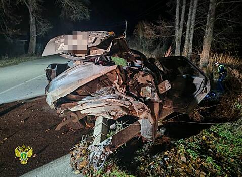 Костромская школьница выпала из машины и ее переехали насмерть на дороге