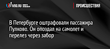 В Петербурге оштрафовали пассажира Пулково. Он опоздал на самолет и перелез через забор