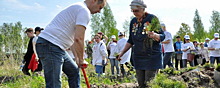 В Одинцовском округе в ходе акции «Лес Победы» высадили 1418 деревьев