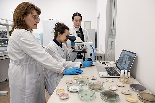 ДальГАУ - это интеграция образовательных программ, науки и результатов