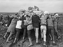 Россияне вспомнили о пьянках во время поездок «на картошку» в СССР