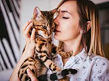 Почему кошка мнет лапками: причины и их значение
