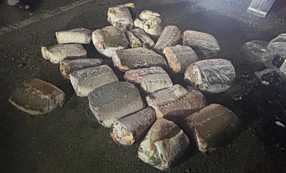 Хабаровские полицейские задержали сельчанина, незаконно перевозившего рыбу осетровых пород