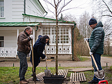 "Лев Николаевич узнал бы свою Ясную Поляну". Как работает музей Толстого под Тулой