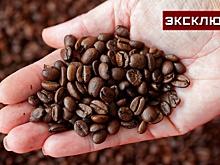 Эксперт оценил сообщения о сильном подорожании кофе к концу года
