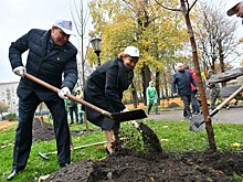 В Москве высадят именные деревья