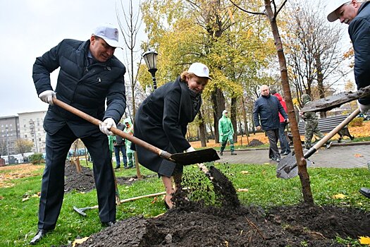 В Москве высадят именные деревья