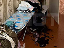 Shot: в Нижегородской области залетевший в квартиру фейерверк устроил пожар