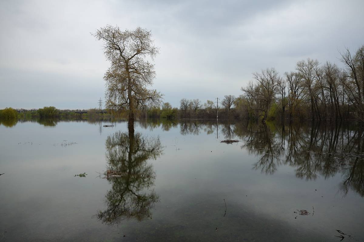 Фекальная угроза нависла над Волгой