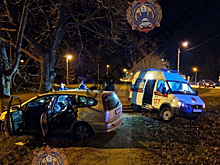 В Тепло-Огаревском районе Honda съехала в кювет и водитель погибла от удара в дерево