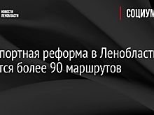 Транспортная реформа в Ленобласти коснется более 90 маршрутов