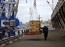 Совладелец Владивостокского морского рыбного порта задержан