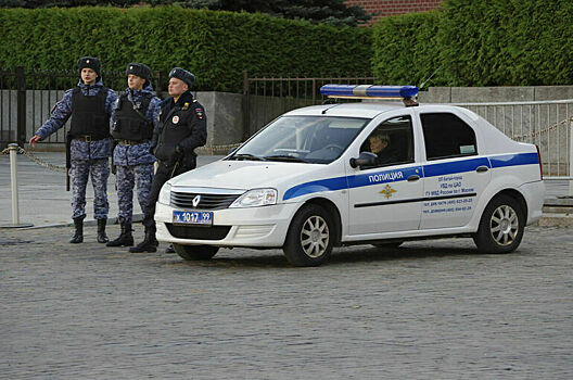 В МВД разработали «особый порядок» досудебного производства