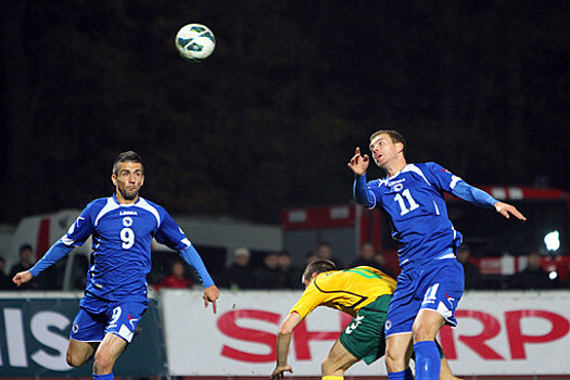 Ибишевич завершил карьеру в сборной Боснии и Герцеговины