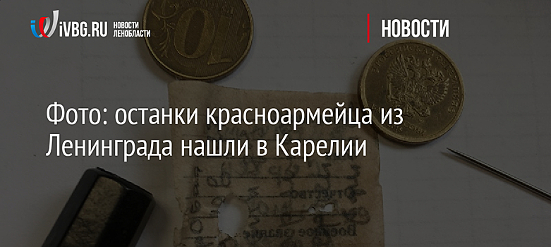 Фото: останки красноармейца из Ленинграда нашли в Карелии