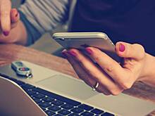 Более 3,5 тысячи обращений за месяц проверил Telegram-бот «Самострой.net»