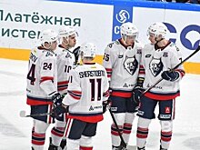 "Нефтехимик" проиграл московскому "Динамо" в овертайме