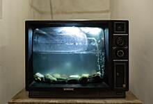 Рядом с Рязанским откроется экспозиция, посвященная влиянию телевидения на вкусы и ценности человека