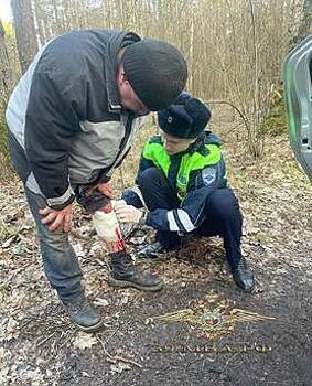 Попросил помочь дежуривших на трассе инспекторов: под Светлым мужчина повредил себе ногу бензопилой