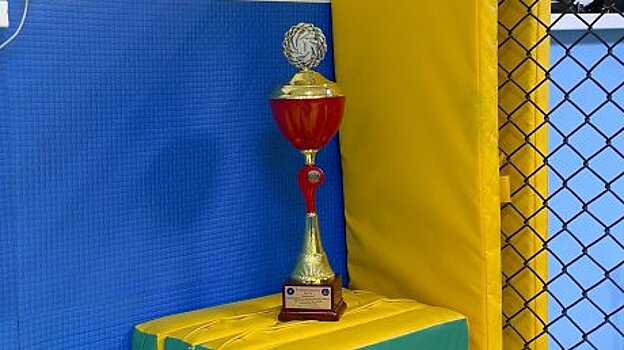 Пензенские борцы выиграли золото чемпионата по грэпплингу