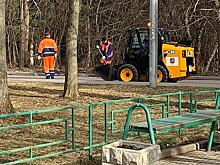 За состоянием лесопарка в районе Старое Крюково следят зеленоградские экологи