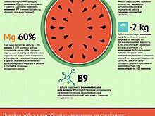 Чем полезен арбуз