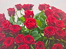 Волгоградстат назвал цены на цветы в преддверии 8 марта