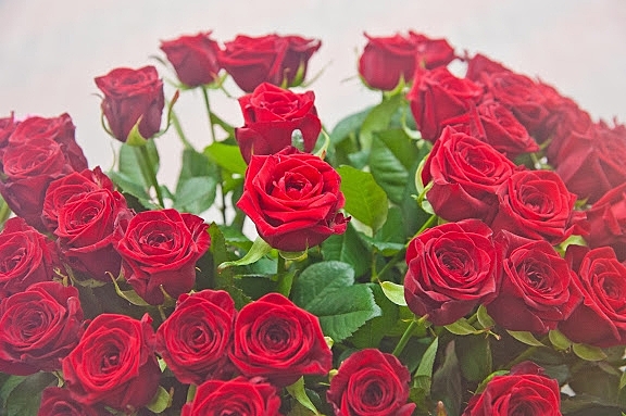 Волгоградстат назвал цены на цветы в преддверии 8 марта