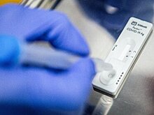 Биолог перечислила главные ошибки при выборе теста на COVID-19