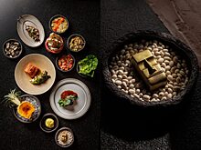 MAYA Первый дегустационный сет Тома Халпина