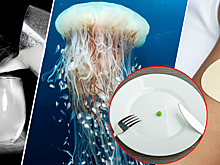 Пластырь вместо еды и мясо из пробирки: Какой будет еда будущего