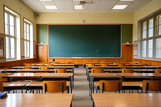 В нескольких школах Биробиджана ввели карантин из-за ОРВИ