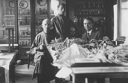 Кунсткамера Санкт-Петербурга: самые шокирующие факты и экспонаты