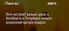 Лето наступает раньше срока: в Ленобласти и Петербурге начался ускоренный прогрев воздуха