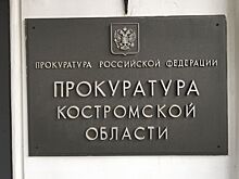 Программу Нового года в ресторанах Костромы потребовали согласовать в прокуратуре