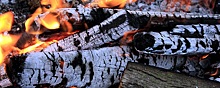 Томские ученые выяснили, древесные отходы какой формы лучше всего горят