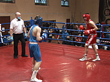 В регионе состоялось первенство по боксу среди юношей