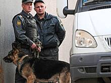 Как бывший сапер стал преступником и почему его ловят уже 23 года