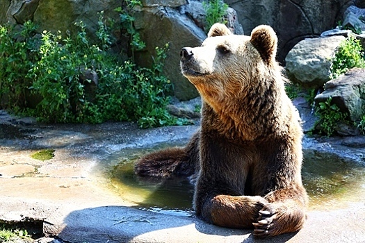 8 фактов из истории Калининградского зоопарка, о которых вы не знали или успели забыть